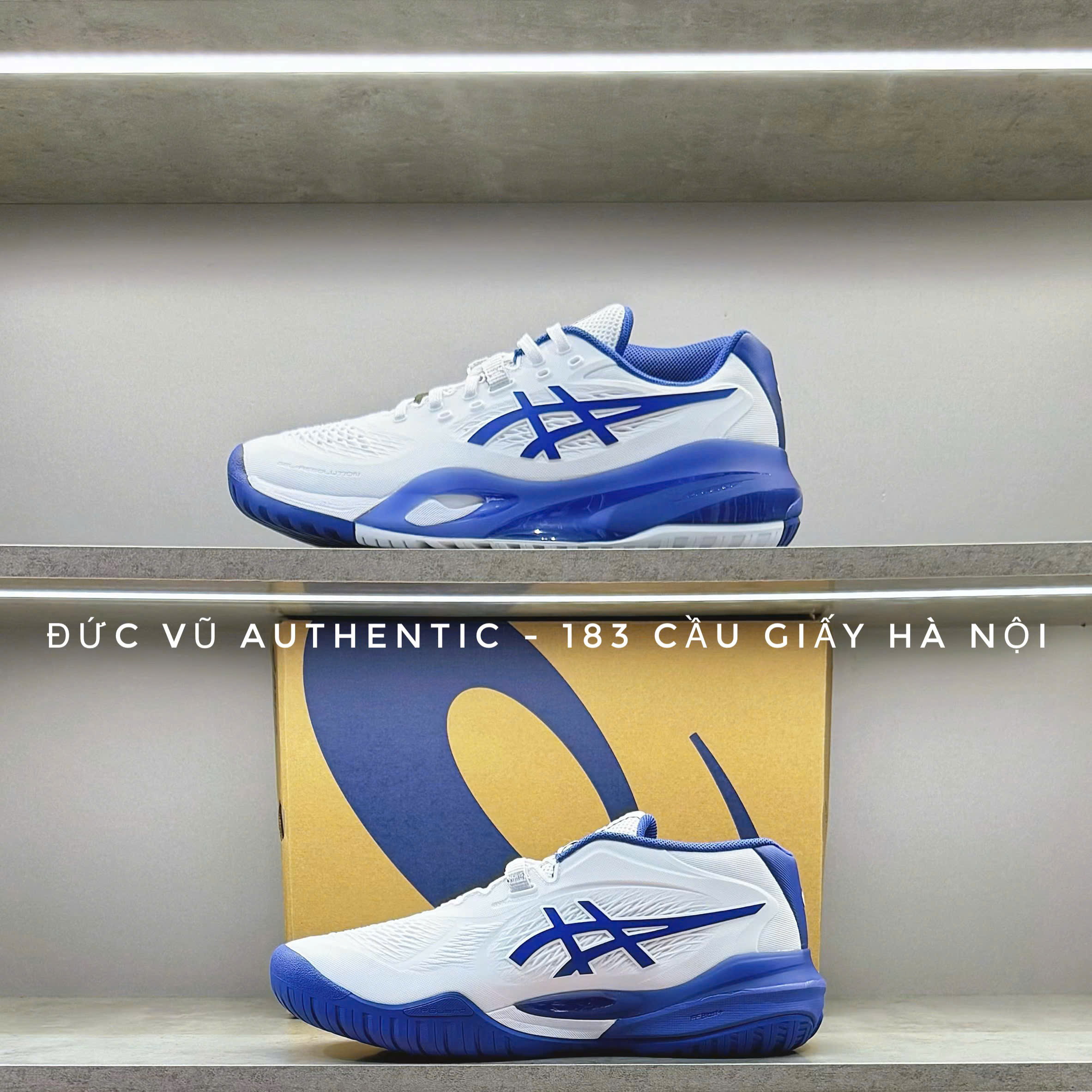 : Asics Court FF 3 (White/Blue)